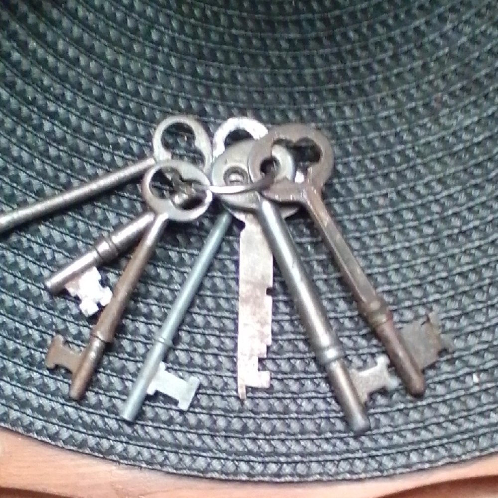 Vintage Skeleton Keys Set - Picture 2 of 4